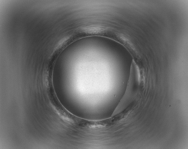 X0000066960400200603311428