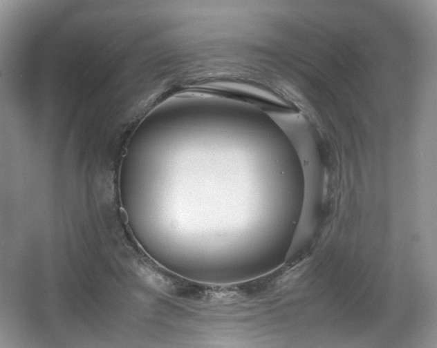 X0000066960401200603311428