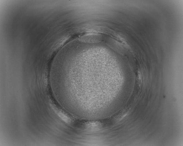 X0000066960402200603311428