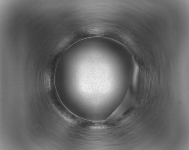 X0000066960404200603311428