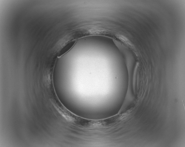 X0000066960405200603311428