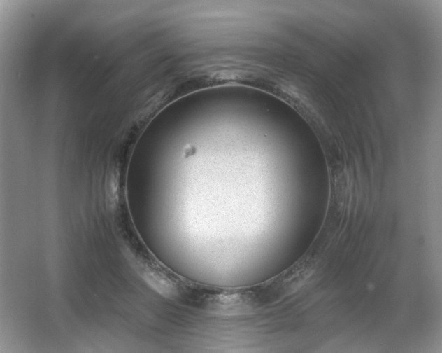 X0000066960406200603311428