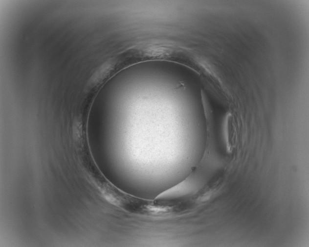 X0000066960407200603311428