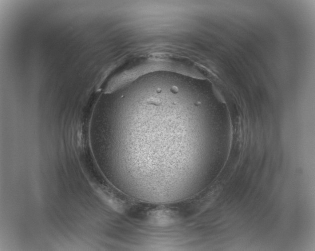 X0000066960408200603311428