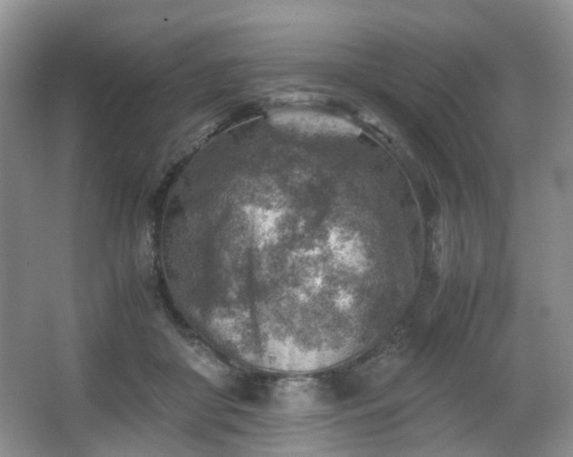 X0000066960410200603311428