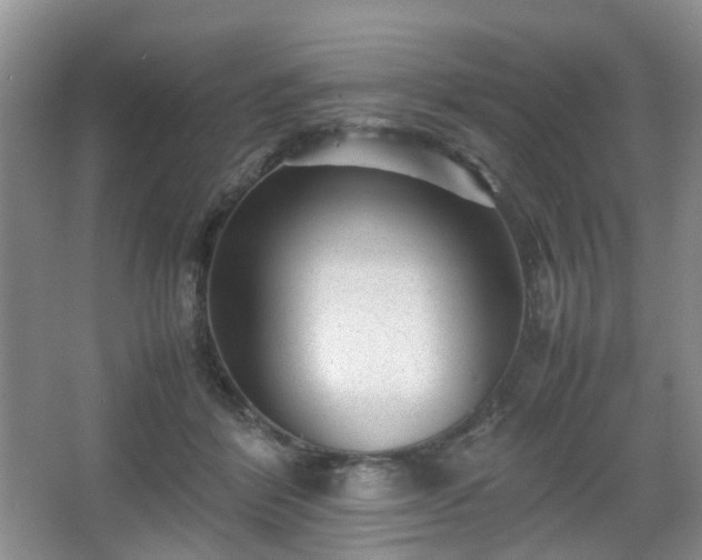 X0000066960412200603311428