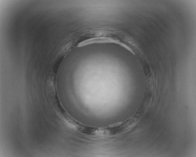 X0000066960415200603311428