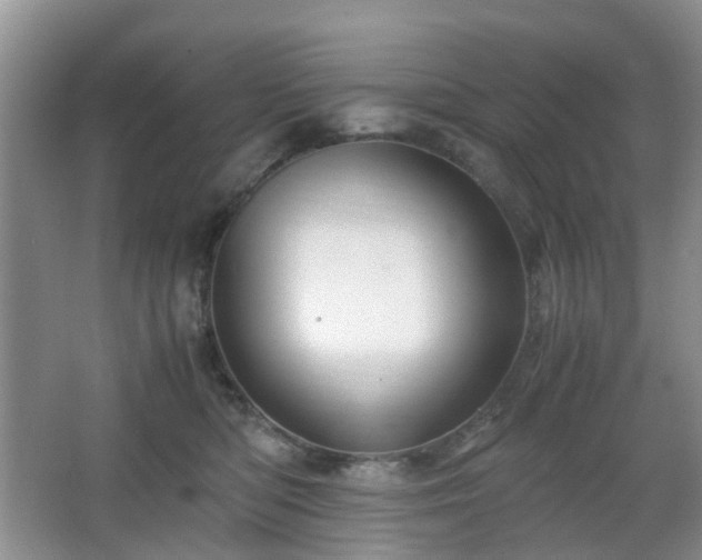 X0000066960422200603311428