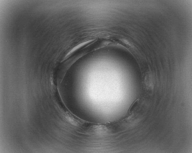 X0000066960424200603311428