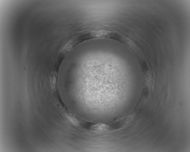 X0000066960427200603311428