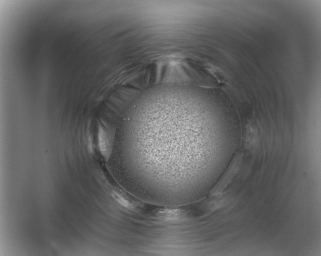 X0000066960428200603311428