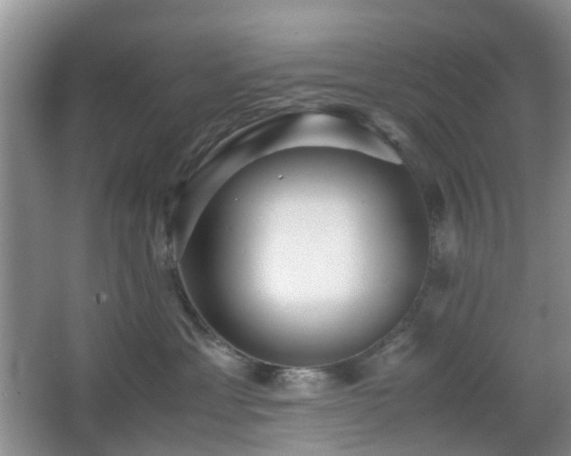 X0000066960429200603311428