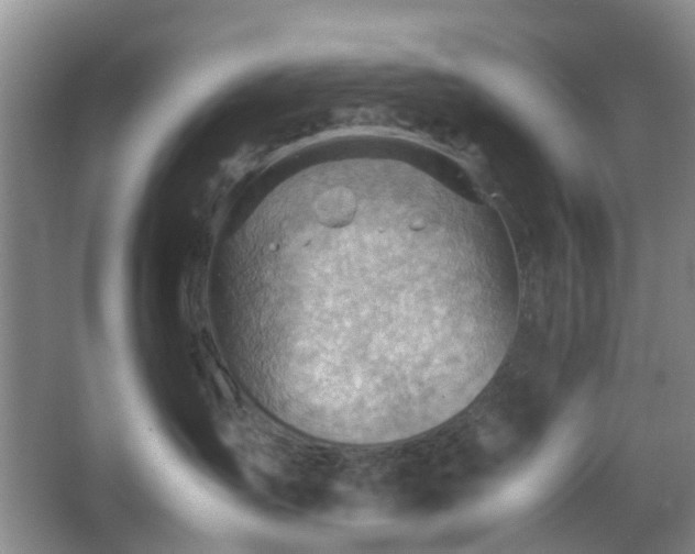 X0000066960431200603311428