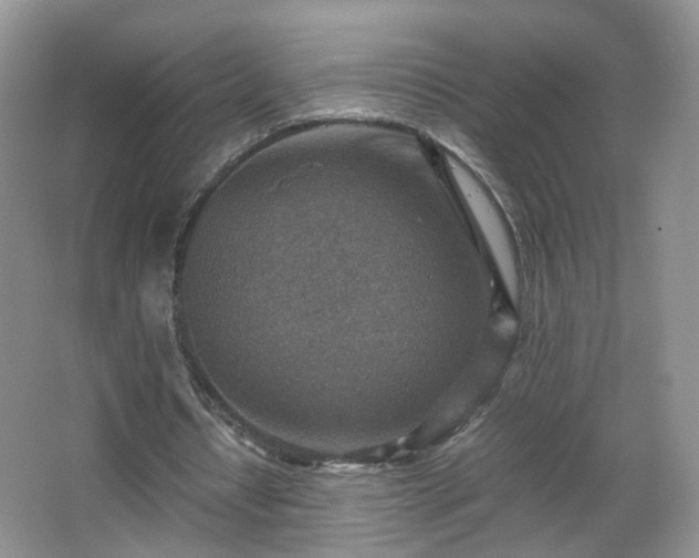 X0000066960434200603311427