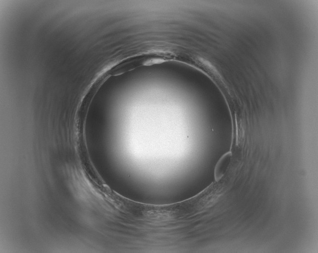 X0000066960435200603311427