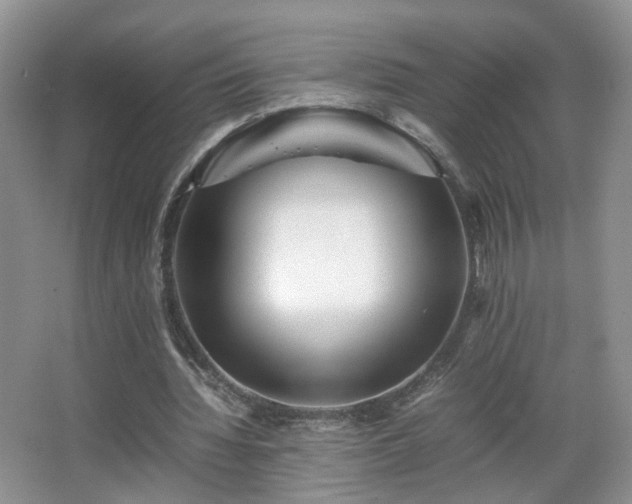 X0000066960436200603311427