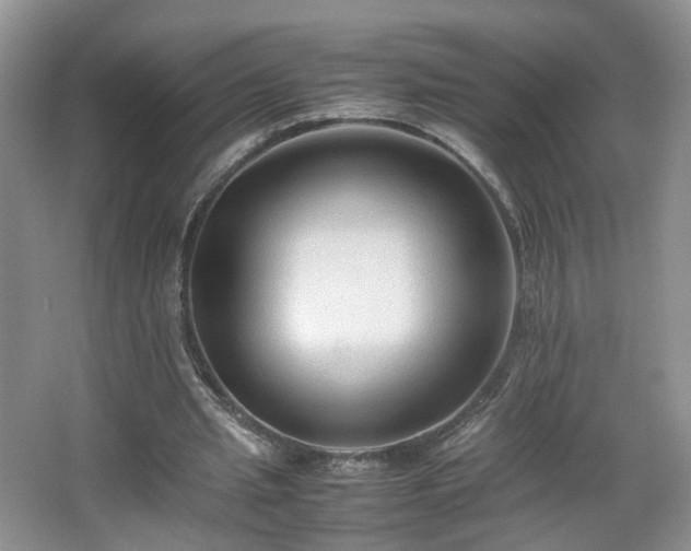 X0000066960437200603311427