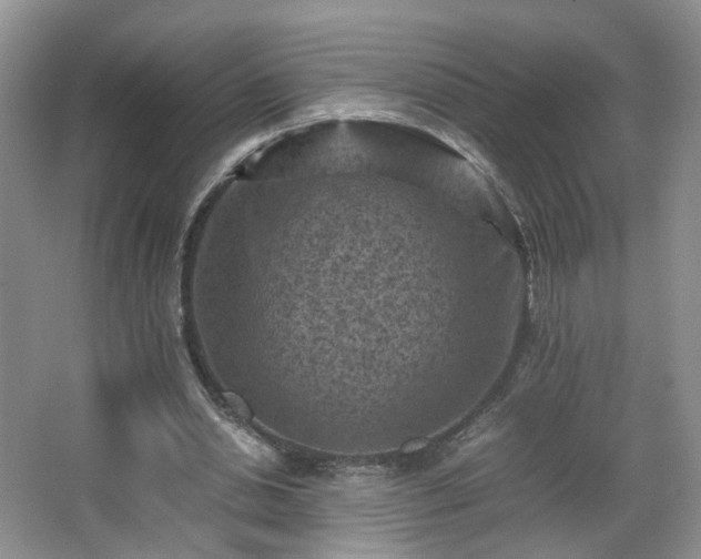 X0000066960438200603311427