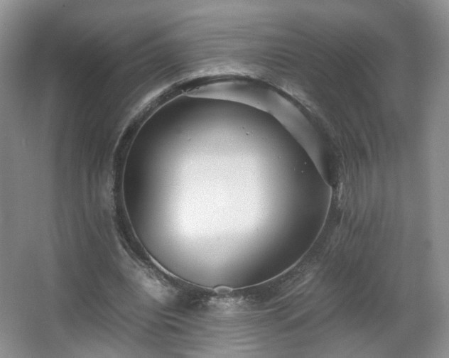 X0000066960440200603311427