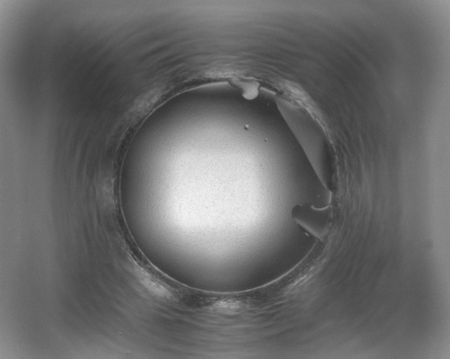 X0000066960441200603311427