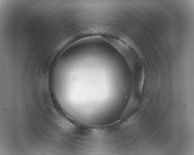 X0000066960442200603311427