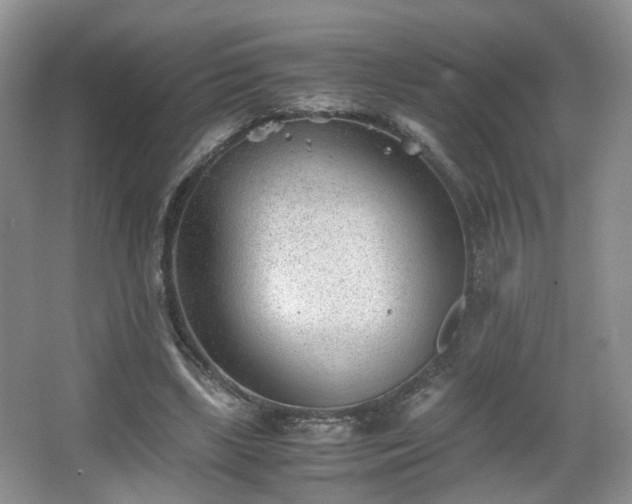 X0000066960443200603311427