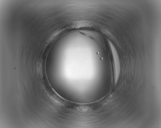 X0000066960444200603311427