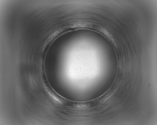 X0000066960445200603311427