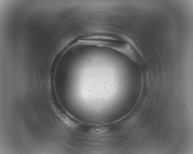 X0000066960447200603311427