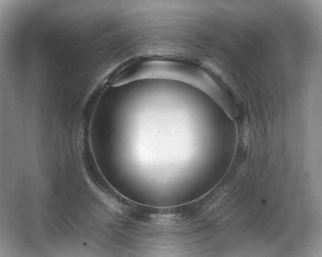 X0000066960448200603311427