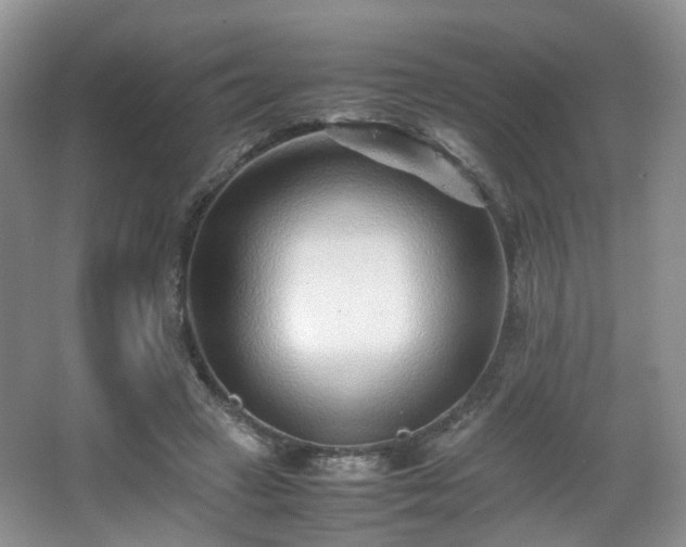 X0000066960449200603311427