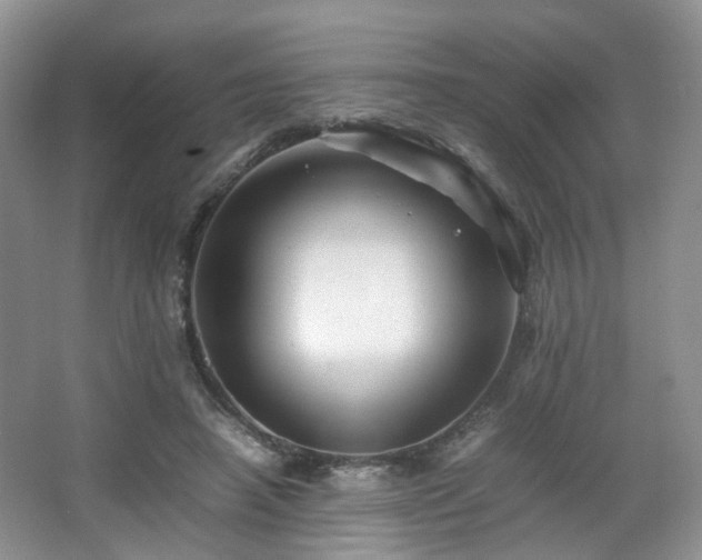 X0000066960450200603311427