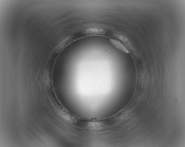 X0000066960457200603311428