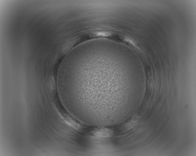 X0000066960459200603311428