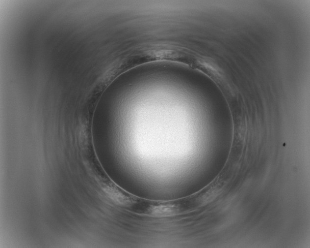 X0000066960461200603311428