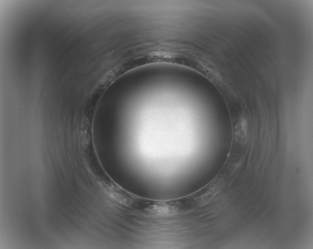 X0000066960464200603311428