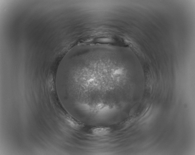 X0000066960465200603311428