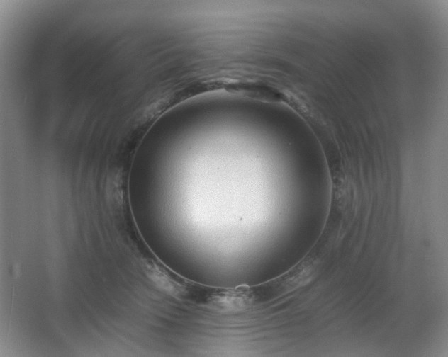 X0000066960466200603311428