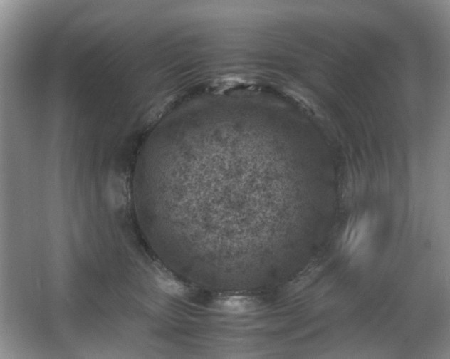 X0000066960467200603311428