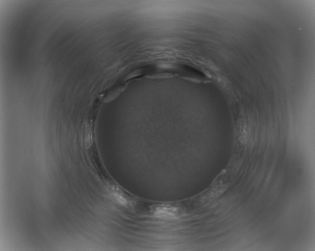 X0000066960471200603311428