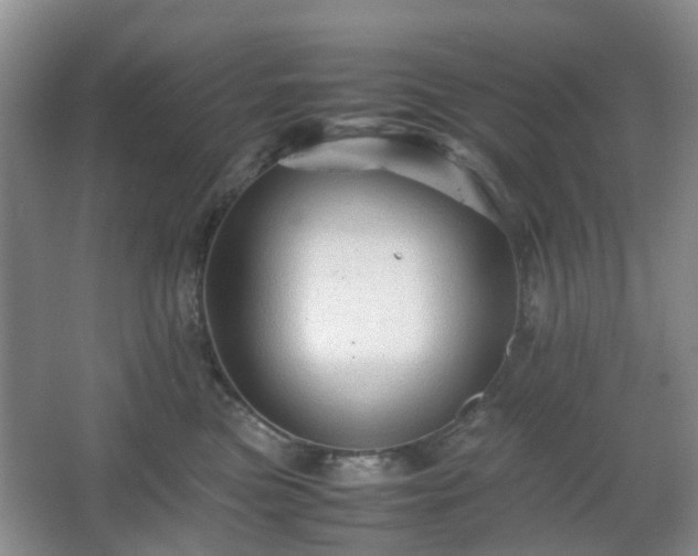 X0000066960473200603311428