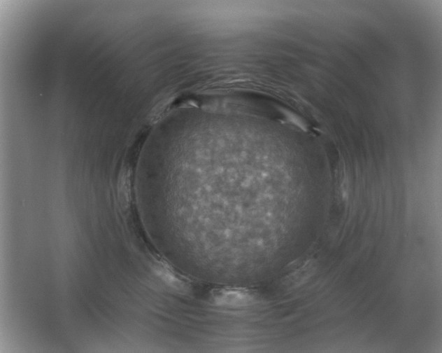 X0000066960475200603311428