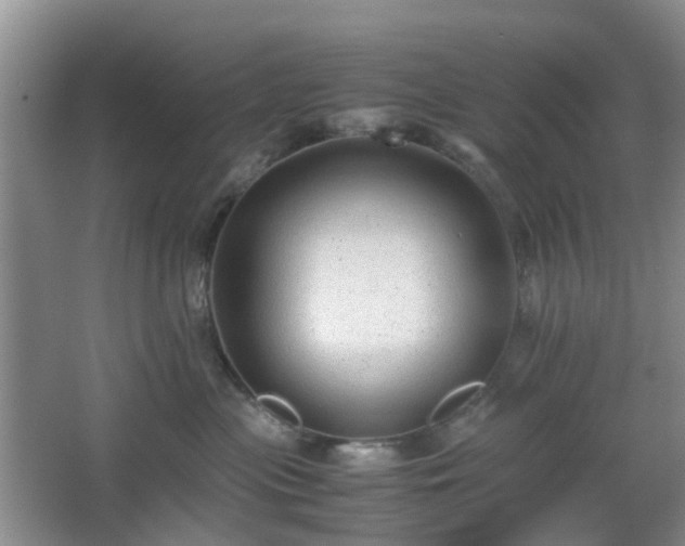 X0000066960477200603311428