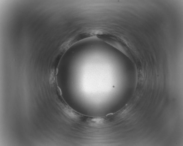 X0000066960478200603311428