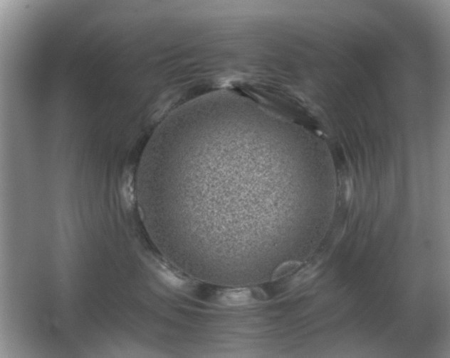 X0000066960479200603311428