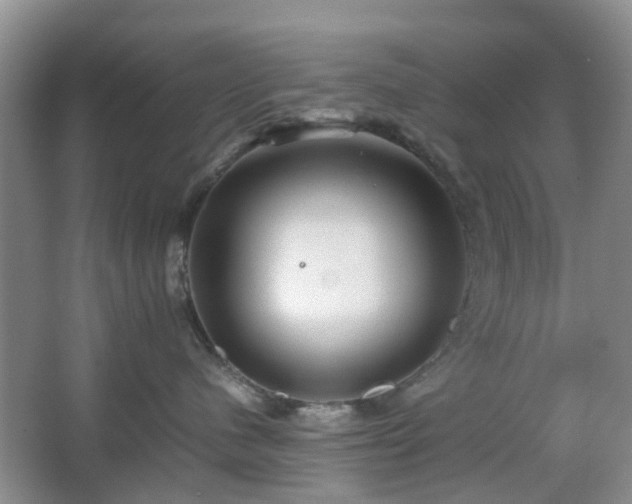 X0000066960480200603311428