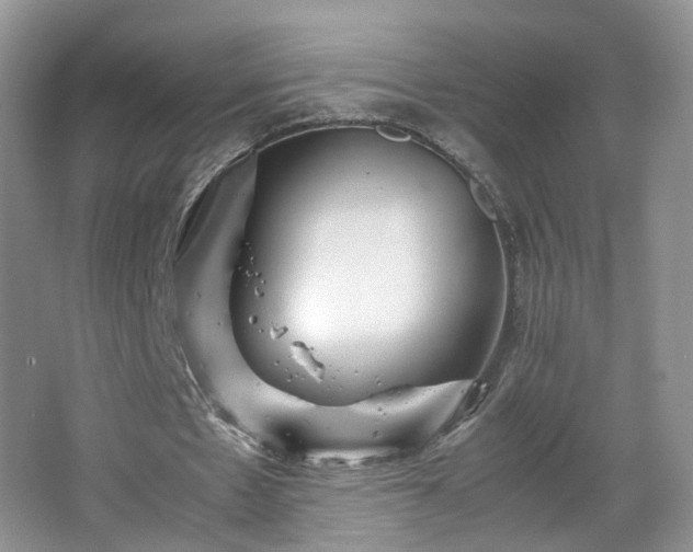 X0000066960481200603311427