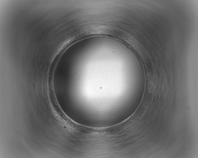 X0000066960482200603311427