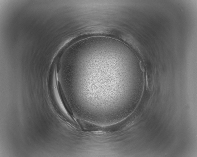 X0000066960483200603311427