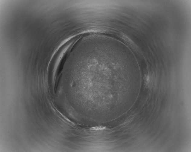 X0000066960484200603311427